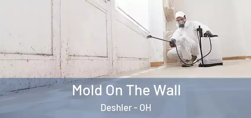  Mold On The Wall Deshler - OH