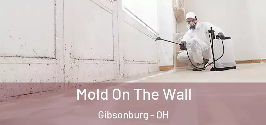  Mold On The Wall Gibsonburg - OH