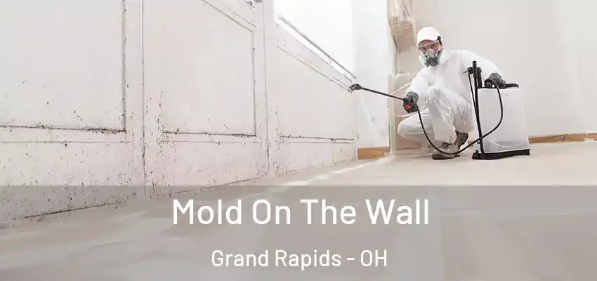  Mold On The Wall Grand Rapids - OH