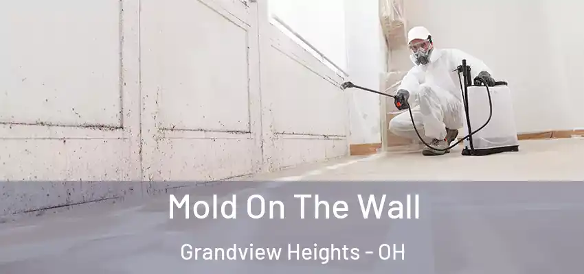  Mold On The Wall Grandview Heights - OH