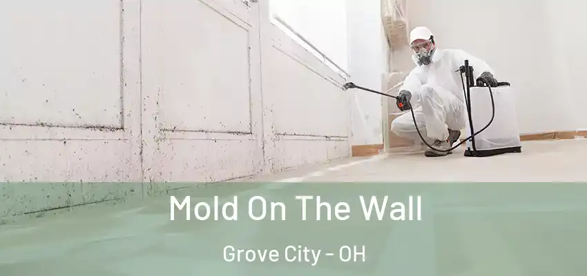  Mold On The Wall Grove City - OH