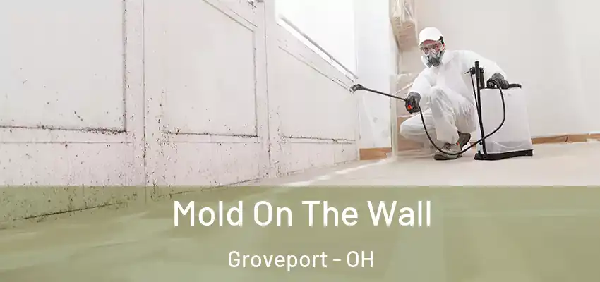  Mold On The Wall Groveport - OH