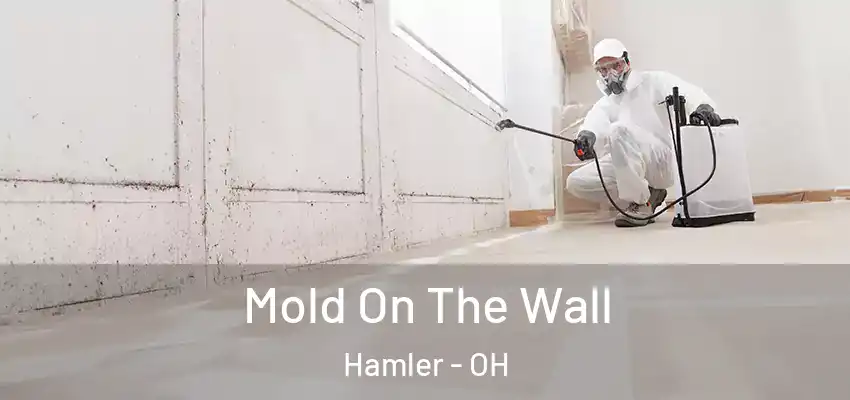  Mold On The Wall Hamler - OH