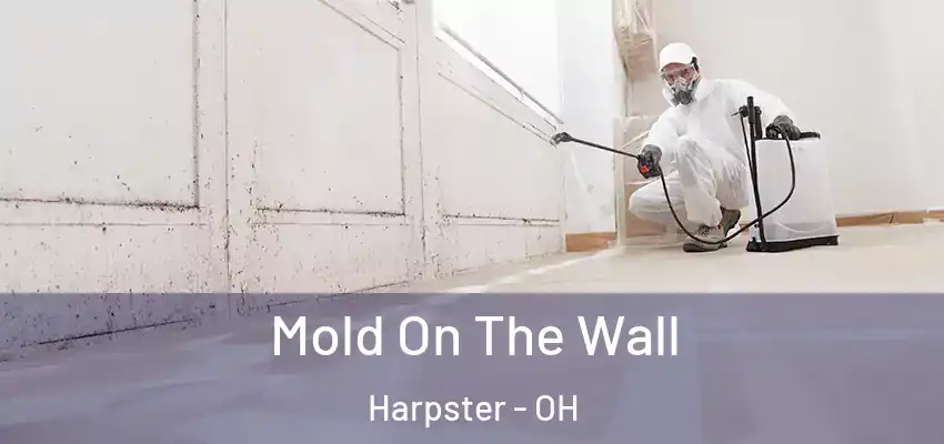  Mold On The Wall Harpster - OH