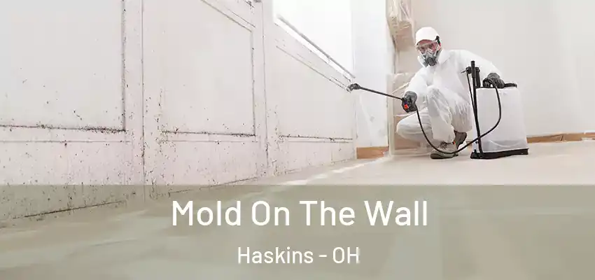  Mold On The Wall Haskins - OH