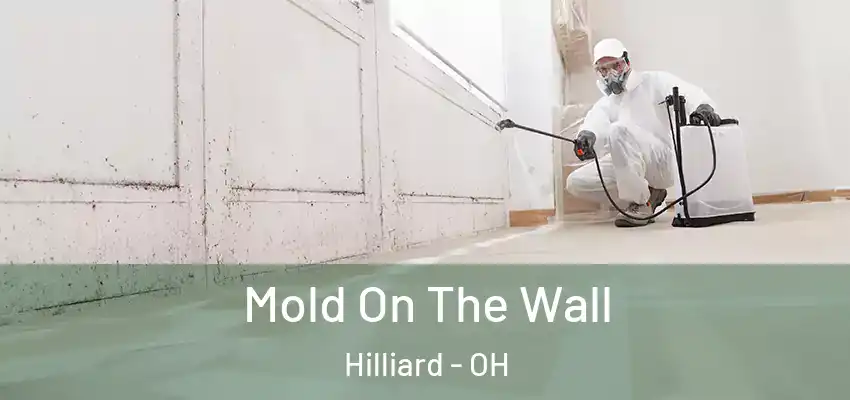  Mold On The Wall Hilliard - OH