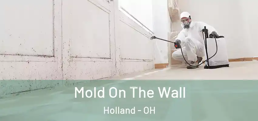  Mold On The Wall Holland - OH