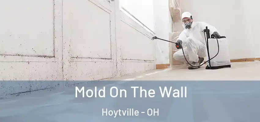  Mold On The Wall Hoytville - OH