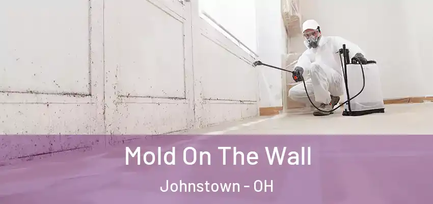  Mold On The Wall Johnstown - OH