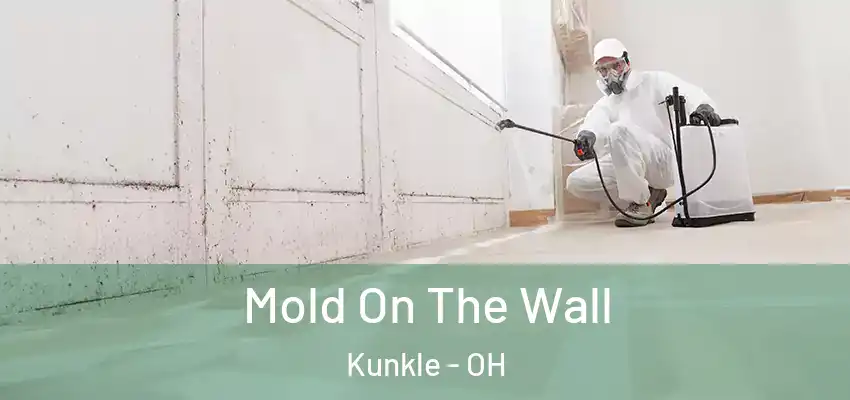  Mold On The Wall Kunkle - OH