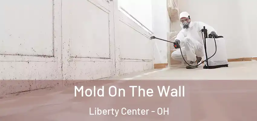  Mold On The Wall Liberty Center - OH