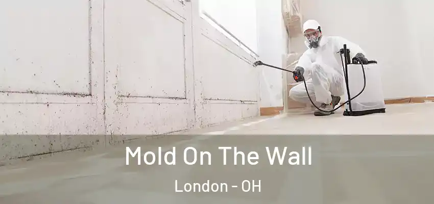  Mold On The Wall London - OH