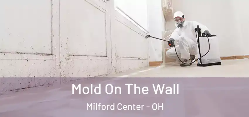  Mold On The Wall Milford Center - OH
