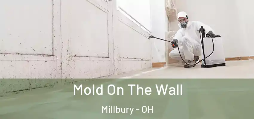  Mold On The Wall Millbury - OH