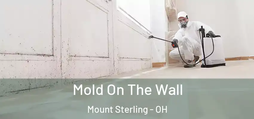  Mold On The Wall Mount Sterling - OH