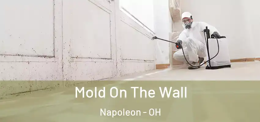  Mold On The Wall Napoleon - OH
