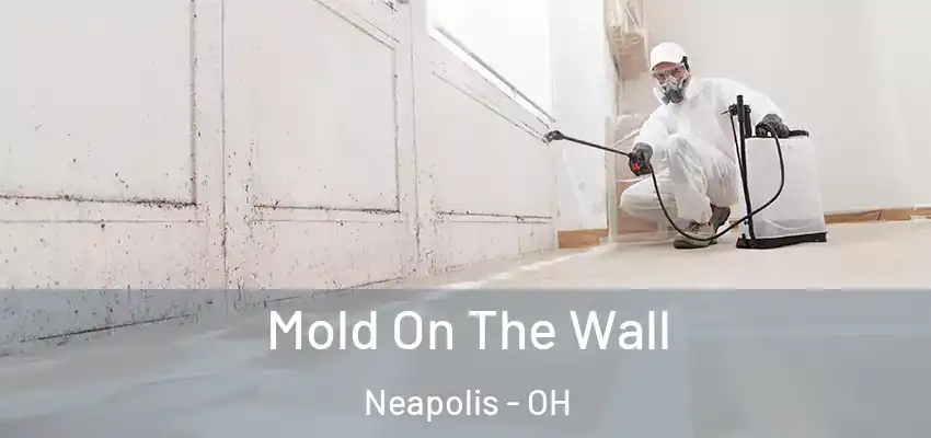  Mold On The Wall Neapolis - OH