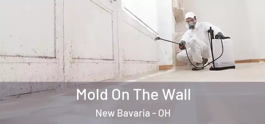  Mold On The Wall New Bavaria - OH