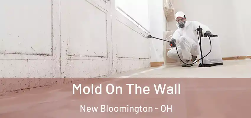  Mold On The Wall New Bloomington - OH