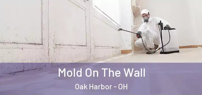  Mold On The Wall Oak Harbor - OH