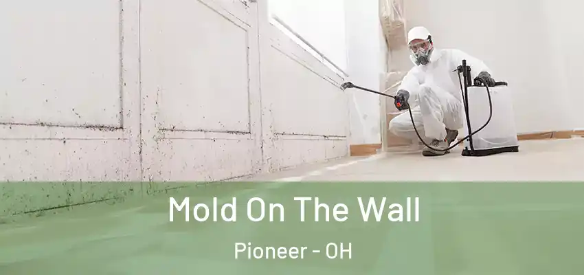 Mold On The Wall Pioneer - OH