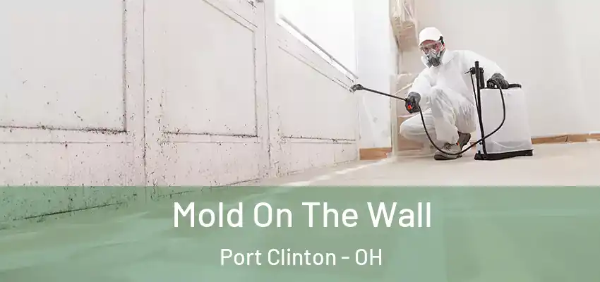  Mold On The Wall Port Clinton - OH
