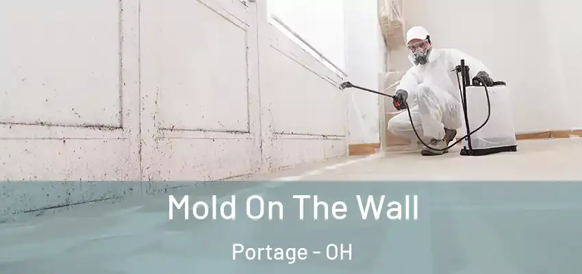  Mold On The Wall Portage - OH