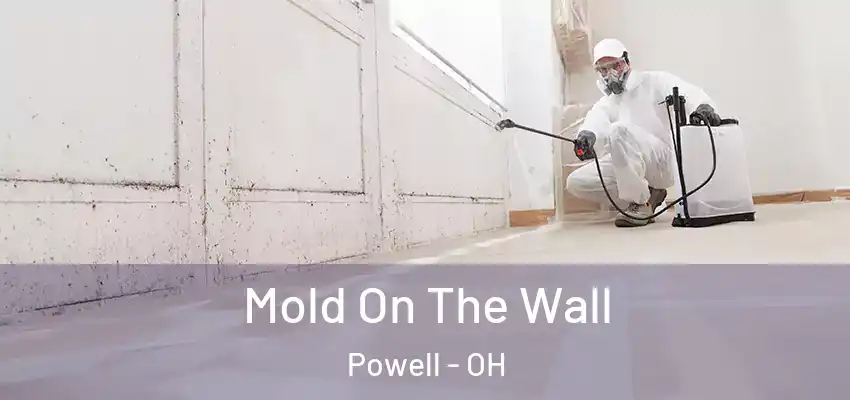  Mold On The Wall Powell - OH