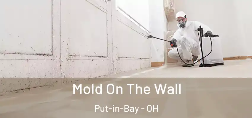  Mold On The Wall Put-in-Bay - OH
