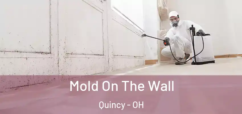  Mold On The Wall Quincy - OH