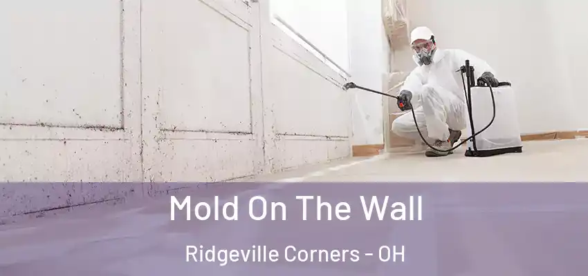  Mold On The Wall Ridgeville Corners - OH