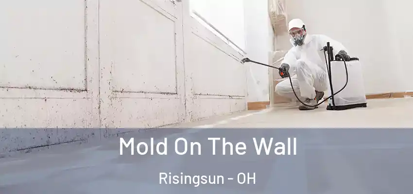  Mold On The Wall Risingsun - OH