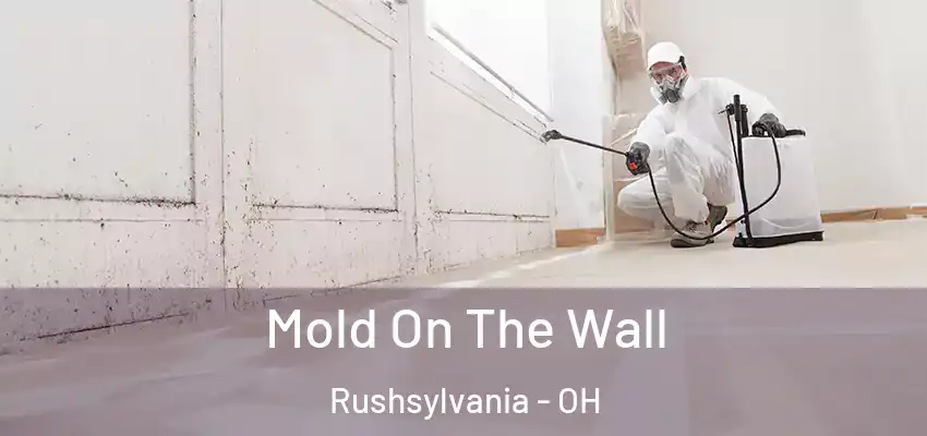  Mold On The Wall Rushsylvania - OH
