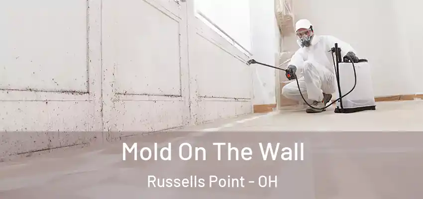  Mold On The Wall Russells Point - OH