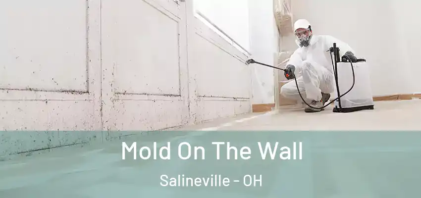  Mold On The Wall Salineville - OH