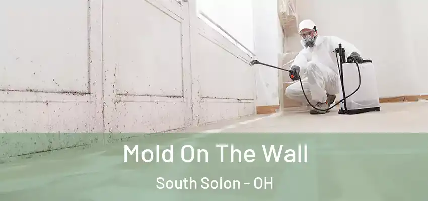  Mold On The Wall South Solon - OH
