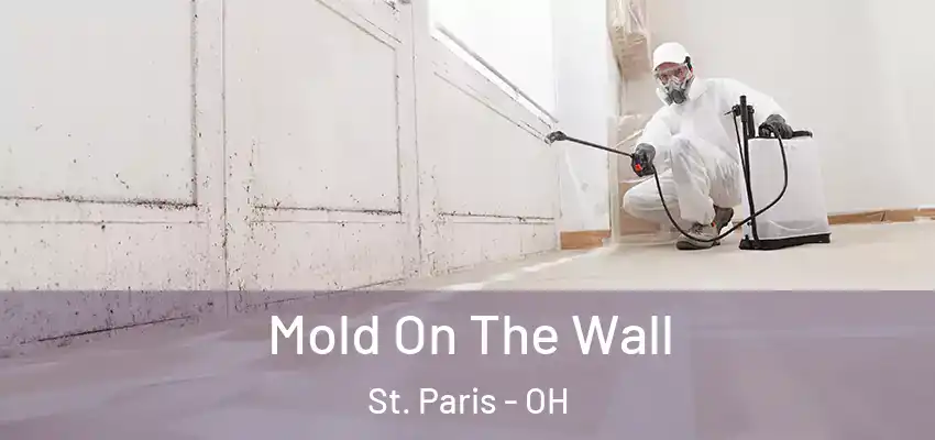  Mold On The Wall St. Paris - OH