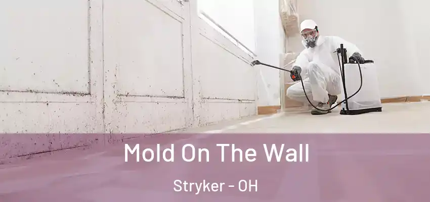  Mold On The Wall Stryker - OH