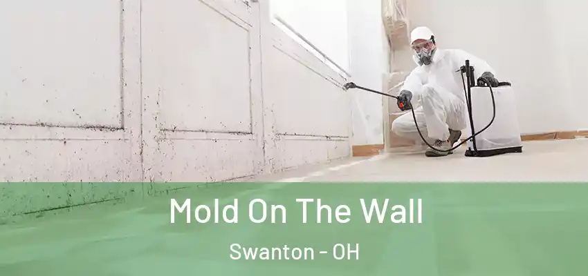  Mold On The Wall Swanton - OH