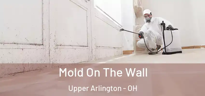  Mold On The Wall Upper Arlington - OH