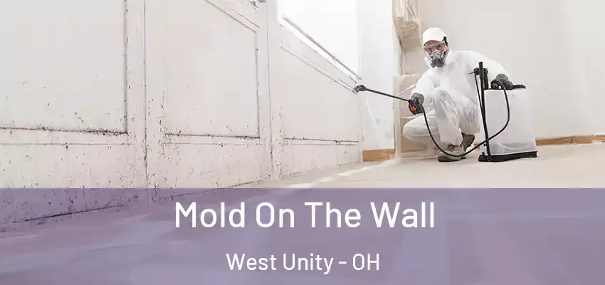  Mold On The Wall West Unity - OH