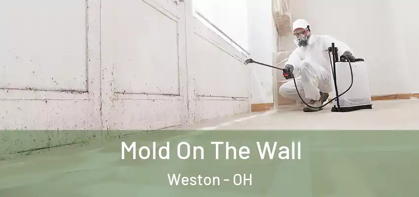  Mold On The Wall Weston - OH