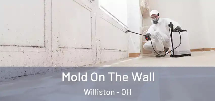  Mold On The Wall Williston - OH
