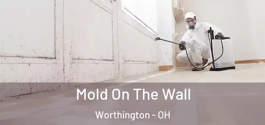  Mold On The Wall Worthington - OH