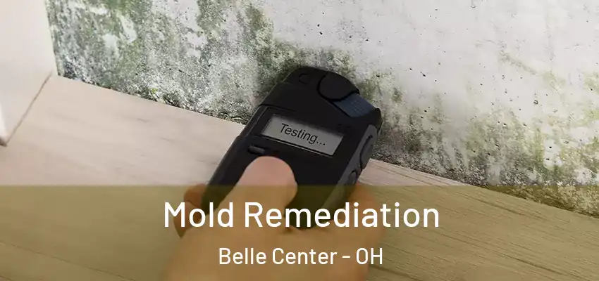  Mold Remediation Belle Center - OH