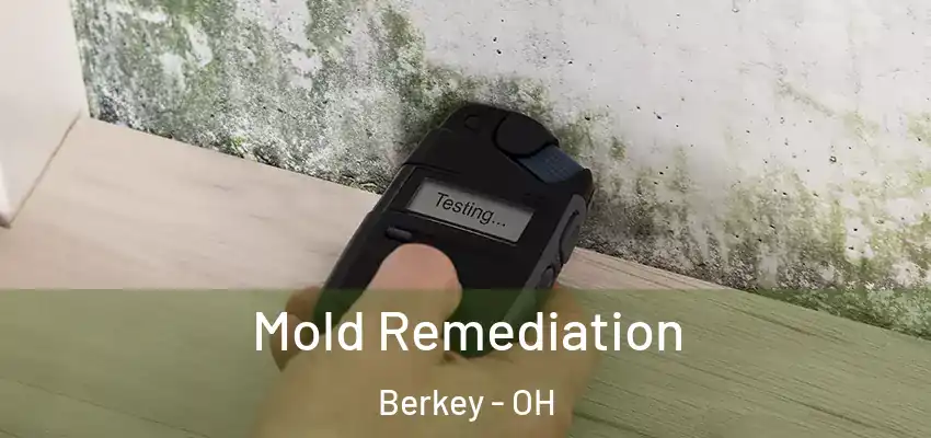  Mold Remediation Berkey - OH
