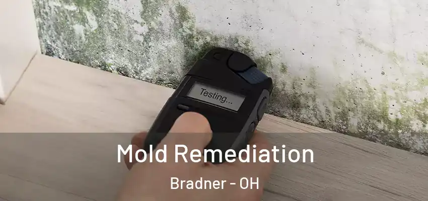  Mold Remediation Bradner - OH