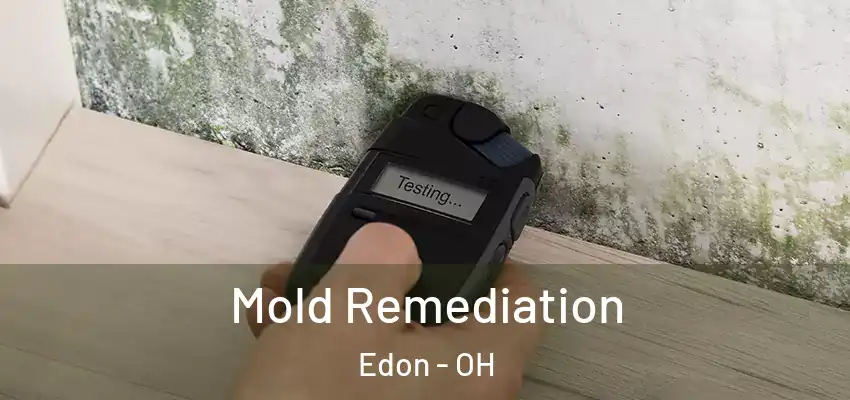  Mold Remediation Edon - OH