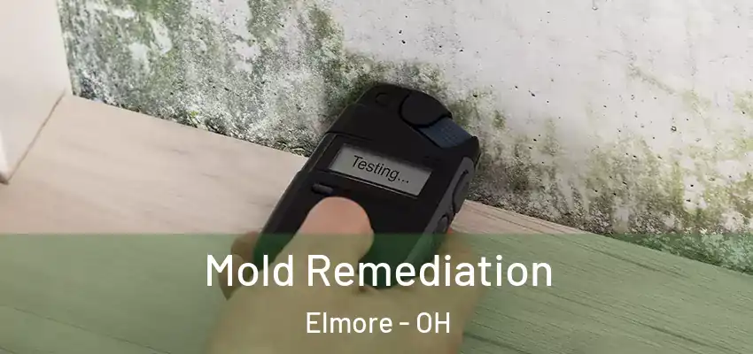  Mold Remediation Elmore - OH