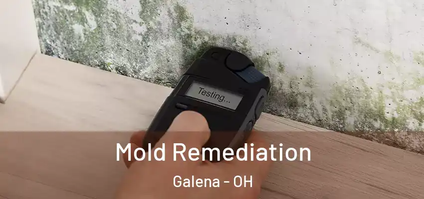  Mold Remediation Galena - OH
